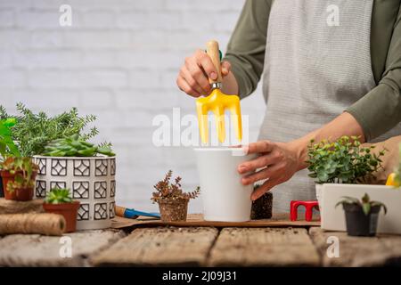 Frau kümmern sich um Innenblume in weißen Keramiktopf und mit kleinen Garten Rechen auf Holztisch Hintergrund. Konzept der Pflanzenpflege und Hausgarten. Stockfoto