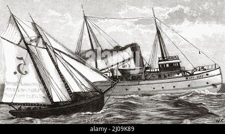 Dampfpilotenboote Maßstab Modell. Alte, gravierte Illustration aus dem 19.. Jahrhundert von La Nature 1899 Stockfoto