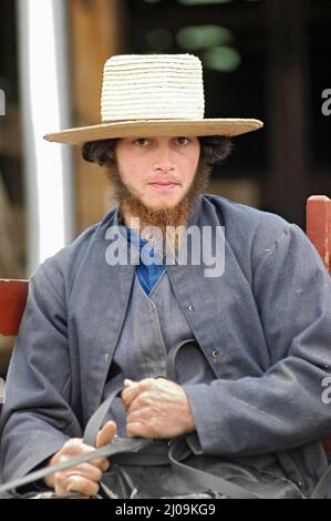 Junger Amish-Bauer auf dem Weg zum Markt in einem Buggy in den USA - einige mit seiner Kuh - aber er mag Fotografen mehr als wir denken Stockfoto