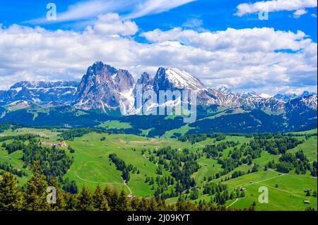 Seiser Alm oder Seiser Alm - wunderschöne Bergwelt der Dolomiten Alpen - Trentino-Südtirol, Südtirol, Italien - Reiseland in Europa Stockfoto