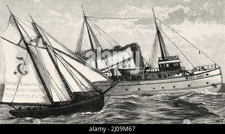 Dampfpilotenboote Maßstab Modell. Alte, gravierte Illustration aus dem 19.. Jahrhundert von La Nature 1899 Stockfoto