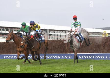 Tag 1 des Cheltenham Festivals auf der Cheltenham Rennbahn. 2,10 Arkle Chase. L2R Blue Lord unter Paul Townend, Gabynako unter Keith Dono Stockfoto