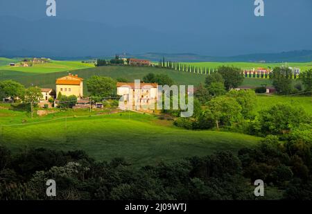 Dorfhaus und Ackerland, Val d'Orcia, Provinz Siena, Region Toskana, Italien Stockfoto