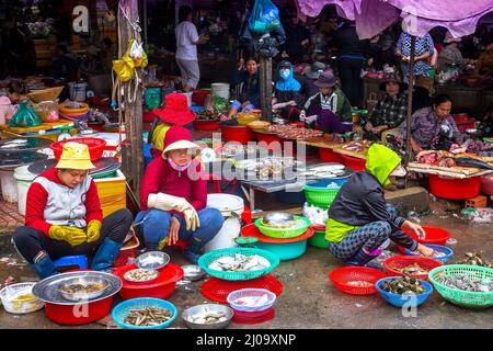 Eine Gruppe von Verkäufern auf dem Obst- und Fischmarkt sitzt auf kleinen Hockern. Stockfoto