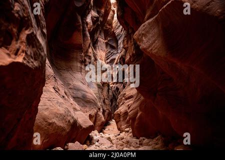 Sandsteinwände, die durch jahrelange Erosion durch Buckskin Gulch im Süden Utahs glatt geschnitzt wurden Stockfoto