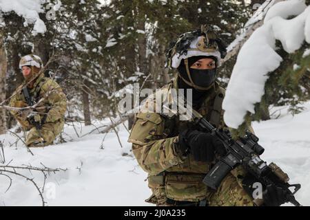 Fallschirmjäger der Comanche Company, 1. Bataillon, 501. Fallschirmjäger-Infanterie-Regiment, 4. Infanterie-Brigade-Kampfteam (Airborne), 25. Infanterie-Division, „Spartan Brigade“, führen während der Rotation des Joint Pacific Readiness Multinary Readiness Center 22-02 in der Nähe von Fort Greely, Alaska, 16. März 2022, eine Aufklärungs- und Überwachungspatrouille durch. JPMRC 22-02 ist die erste Rotation des Home Station Combat Training Center (HS-CTC) in Alaska. Es konzentriert sich auf großangelegte Kampfeinsätze (LSCO) und testet die Kampfbereitschaft des 1. Stryker Brigade Combat Team, 25. Infantry Division, während Fallschirmjäger für sich sind Stockfoto