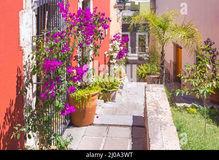 Durango, Mexiko, farbenprächtiges Stadtzentrum im Kolonialstil in der Nähe der zentralen Plaza de Armas und der Kathedrale. Stockfoto