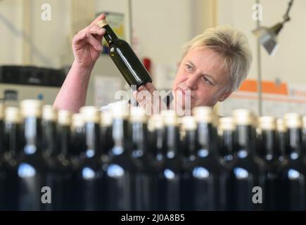 Hoyerswerda, Deutschland. 16. März 2022. Regine Jorga, Geschäftsführerin der Lausitzer Ölmühle, sieht an der Abfüllmaschine eine mit Leinöl gefüllte Flasche. Das Unternehmen befürchtet Lieferschwierigkeiten aufgrund des Ukraine-Konflikts; ein großer Teil des Leinsamen kommt per LKW aus Kasachstan. Der Krieg in der Ukraine macht die Lieferungen unsicher. Quelle: Robert Michael/dpa-Zentralbild/dpa/Alamy Live News Stockfoto