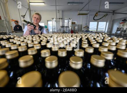 Hoyerswerda, Deutschland. 16. März 2022. Regine Jorga, Geschäftsführerin der Lausitzer Ölmühle, sieht an der Abfüllmaschine eine mit Leinöl gefüllte Flasche. Das Unternehmen befürchtet Lieferschwierigkeiten aufgrund des Ukraine-Konflikts; ein großer Teil des Leinsamen kommt per LKW aus Kasachstan. Der Krieg in der Ukraine macht die Lieferungen unsicher. Quelle: Robert Michael/dpa-Zentralbild/ZB/dpa/Alamy Live News Stockfoto