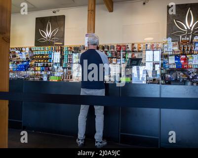 Woodinville, WA USA - ca. Februar 2022: Ansicht eines älteren Mannes, der Marihuana in einem Unkrautladen mit höherer Blattpflanze kauft. Stockfoto