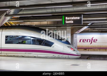 Barcelona, Spanien - 19. Februar 2022: AVE Siemens Velaro Hochgeschwindigkeitszug von RENFE Rail am Bahnhof Barcelona Sants in Barcelona, Spai Stockfoto