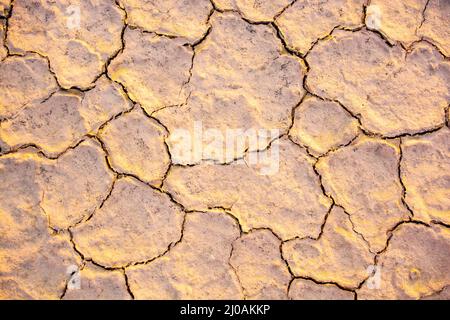 Getrocknete Seenrisse durch lange Trockenheit in der Thar-Wüste Stockfoto