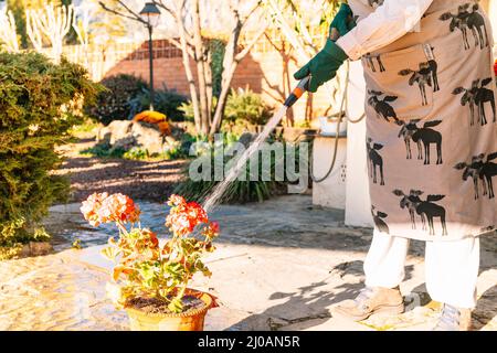 Detail einer älteren Frau, die die Töpfe in ihrem Garten mit einer Wasserpfeife wässert. Stockfoto