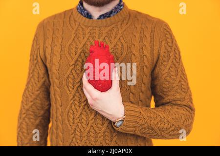 Junger bärtiger Kaukasischer Mann hält künstliches Herz in der Hand, der Fokus liegt auf dem Herzen, kein Gesicht sichtbar, gestrickter Pullover Herz Krankheit Konzept isoliert gelben Hintergrund Studioaufnahme . Hochwertige Fotos Stockfoto