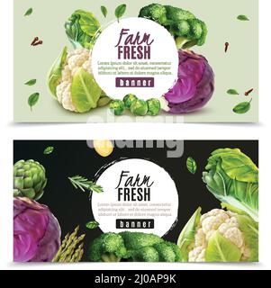 Horizontale Banner mit realistischen frischen Gemüse wie gesetzt Kohl Blumenkohl Brokkoli brüssel Sprossen isoliert Vektor Illustration Stock Vektor