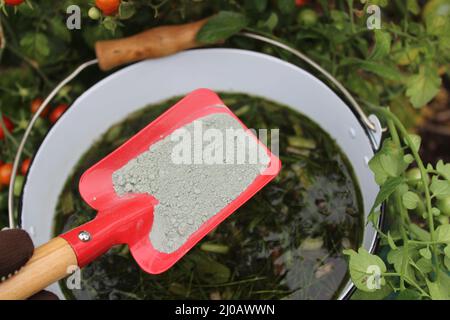 Flüssiger Dünger aus Kräutern und Steinmehl vor einer Tomate Stockfoto