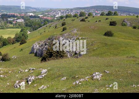 Brenztal, Eselsburg, Schwäbische Alb, Deutschland Stockfoto