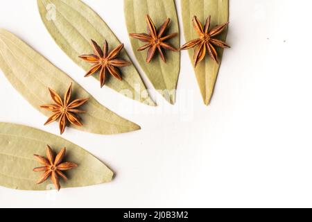 Getrockneter Sternanisgestein mit Zimt tamla-Blättern mit weißem Hintergrund und Kopierraum. Stockfoto