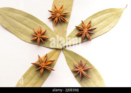 Zimt Tamla Blätter auch bekannt als Indian Lorbeer Blatt, tejapatta, Malabar Blatt, indische Rinde, indische Cassia, Oder Malabathrum mit Sternanise darauf. Stockfoto