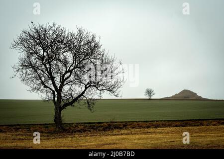 Ein einsamer Baum überblickt einen Schrein auf einem Hügel unter bewölktem Himmel in einer ländlichen Landschaft in der Abenddämmerung, Auvergne Rhone Alpes, Frankreich Stockfoto