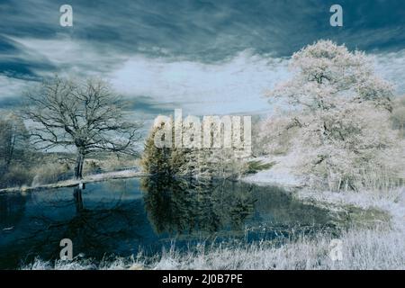 Infrarot-Landschaft mit 720 nm, strahlend weißer Vegetation, surrealen Wäldern und sanften Hügeln in Falschfarbenfotografie, traumhafte Naturszene Stockfoto