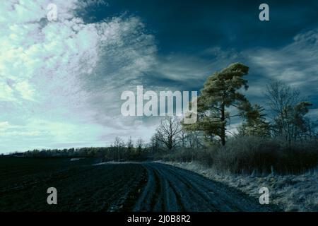 Infrarot-Landschaft mit 720 nm, strahlend weißer Vegetation, surrealen Wäldern und sanften Hügeln in Falschfarbenfotografie, traumhafte Naturszene Stockfoto