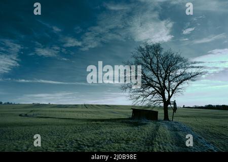 Infrarot-Landschaft mit 720 nm, strahlend weißer Vegetation, surrealen Wäldern und sanften Hügeln in Falschfarbenfotografie, traumhafte Naturszene Stockfoto