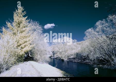 Infrarot-Landschaft mit 720 nm, strahlend weißer Vegetation, surrealen Wäldern und sanften Hügeln in Falschfarbenfotografie, traumhafte Naturszene Stockfoto