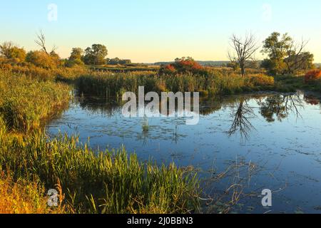 Oxbow Lake, Lower oder Valley National Park, DE Stockfoto