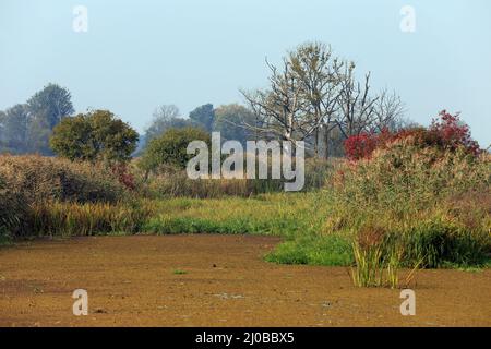 Oxbow Lake, Lower oder Valley National Park, DE Stockfoto