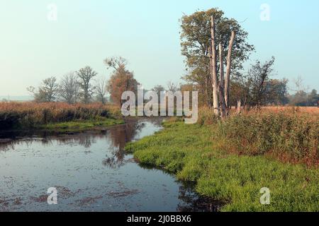 Oxbow Lake, Lower oder Valley National Park, DE Stockfoto