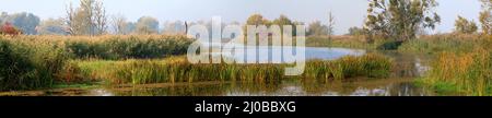 Oxbow Lake, Lower oder Valley National Park, DE Stockfoto