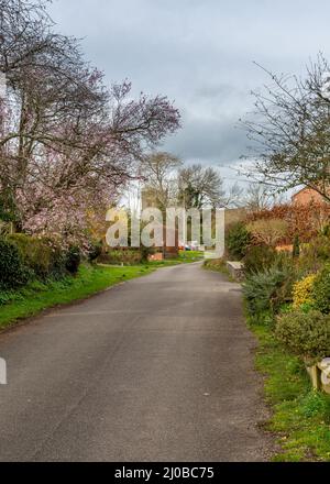 Blick auf die Straße im Dorf Flyford Flavell in Worcestershire, England. Stockfoto