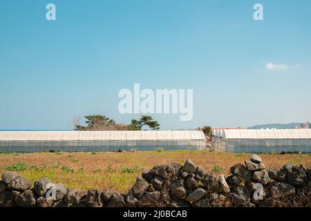 Jocheon-eup Farmdorf auf der Insel Jeju, Korea Stockfoto