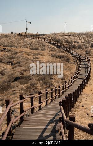 Dakmeor Reed Field Road, Jeju Olle Trail Route 18 in Jeju Island, Korea Stockfoto