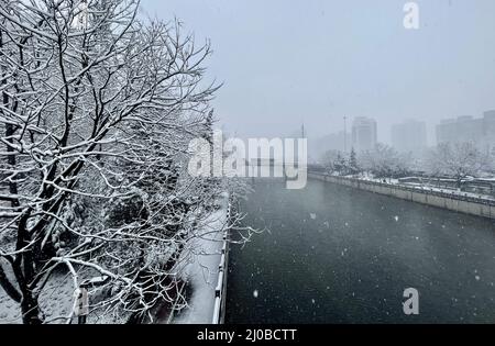 Peking, China. 18. März 2022. Am 18. März 2022, als es warm und kalt war, gab es in Peking im März Schnee. Die Zweige der Straßen waren mit Schnee bedeckt, und es war weiß. Kredit: ZUMA Press, Inc./Alamy Live Nachrichten Stockfoto