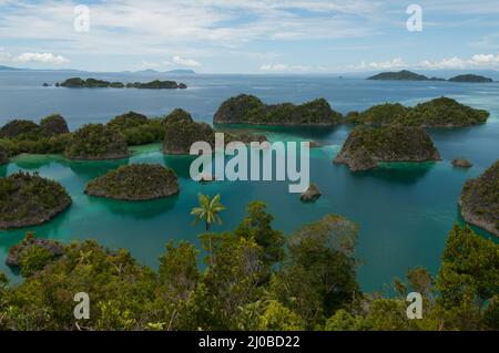 Viele kleine grüne Inseln gehören zu Fam-Insel im Meer von Raja Ampat, Papua-Neu-Guinea Stockfoto