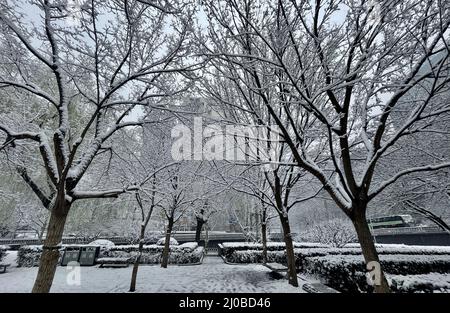 Peking, China. 18. März 2022. Am 18. März 2022, als es warm und kalt war, gab es in Peking im März Schnee. Die Zweige der Straßen waren mit Schnee bedeckt, und es war weiß. Kredit: ZUMA Press, Inc./Alamy Live Nachrichten Stockfoto