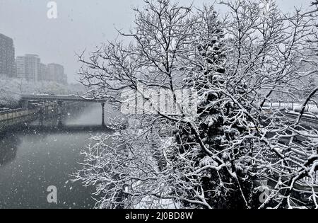 Peking, China. 18. März 2022. Am 18. März 2022, als es warm und kalt war, gab es in Peking im März Schnee. Die Zweige der Straßen waren mit Schnee bedeckt, und es war weiß. Kredit: ZUMA Press, Inc./Alamy Live Nachrichten Stockfoto