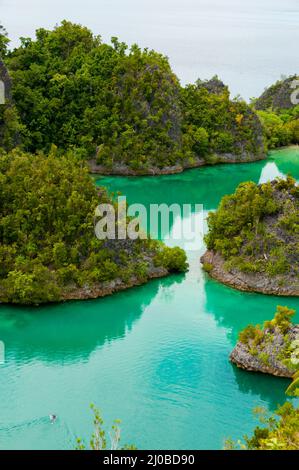 Kleine grüne Inseln gehören zu Fam-Insel im Meer von Raja Ampat, Papua-Neu-Guinea Stockfoto