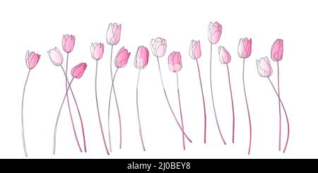 Frühlingsgarten Tulpen blühen. Tulip elegantes Muster auf Weiß isoliert. Florale Vektor-Illustration für Ihre Designs, Kleidung, Bettwäsche Drucke, Telefon ca. Stock Vektor