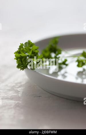 Frische Bio-Petersilie, fertig zum Essen auf einem weißen Teller Stockfoto