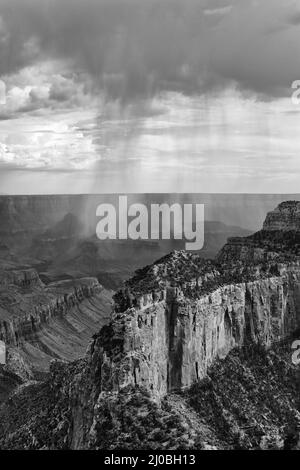 Der wunderschöne Grand Canyon Nationalpark Nordrand von arizona (schwarz und weiß) Stockfoto