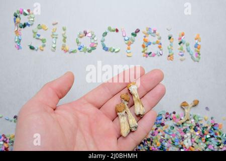 Beschriftung „Psilocybin“. Psychedelischer Pilz auf texturiertem Hintergrund in der Hand des Mannes. Trockene Psilocybe-Shrooms Golden Teacher, Draufsicht. Stockfoto