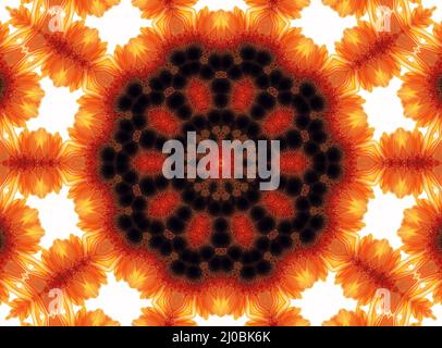 Abstraktes Muster mit Gerberblüten Stockfoto