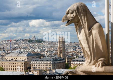 Wasserspeier an der Kathedrale Notre Dame und der Stadt Paris aus nächster Nähe, Frankreich Stockfoto