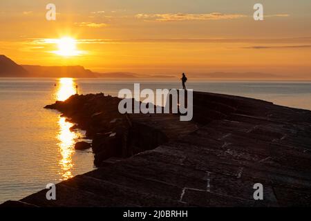 England, Dorset, Lyme Regis, The Cobb bei Sonnenaufgang Stockfoto