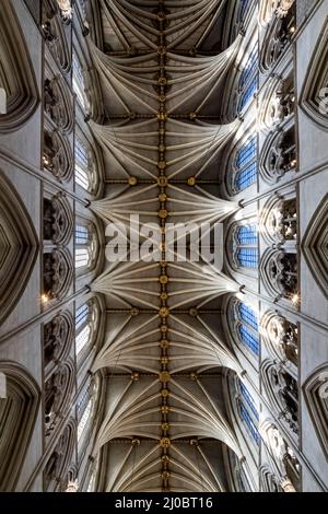 England, London, Westminster Abbey, das Kirchenschiff, Musterdetail der Fächergewölbe Stockfoto