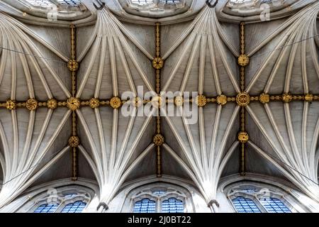 England, London, Westminster Abbey, das Kirchenschiff, Musterdetail der Fächergewölbe Stockfoto