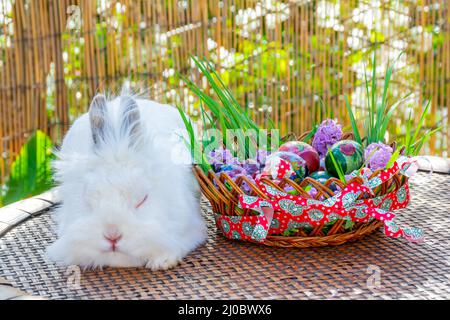 Weißer Hase und gestreifter Korb voller Ostereier stehen auf einem Holztisch Stockfoto